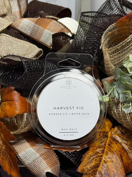 Harvest Fig